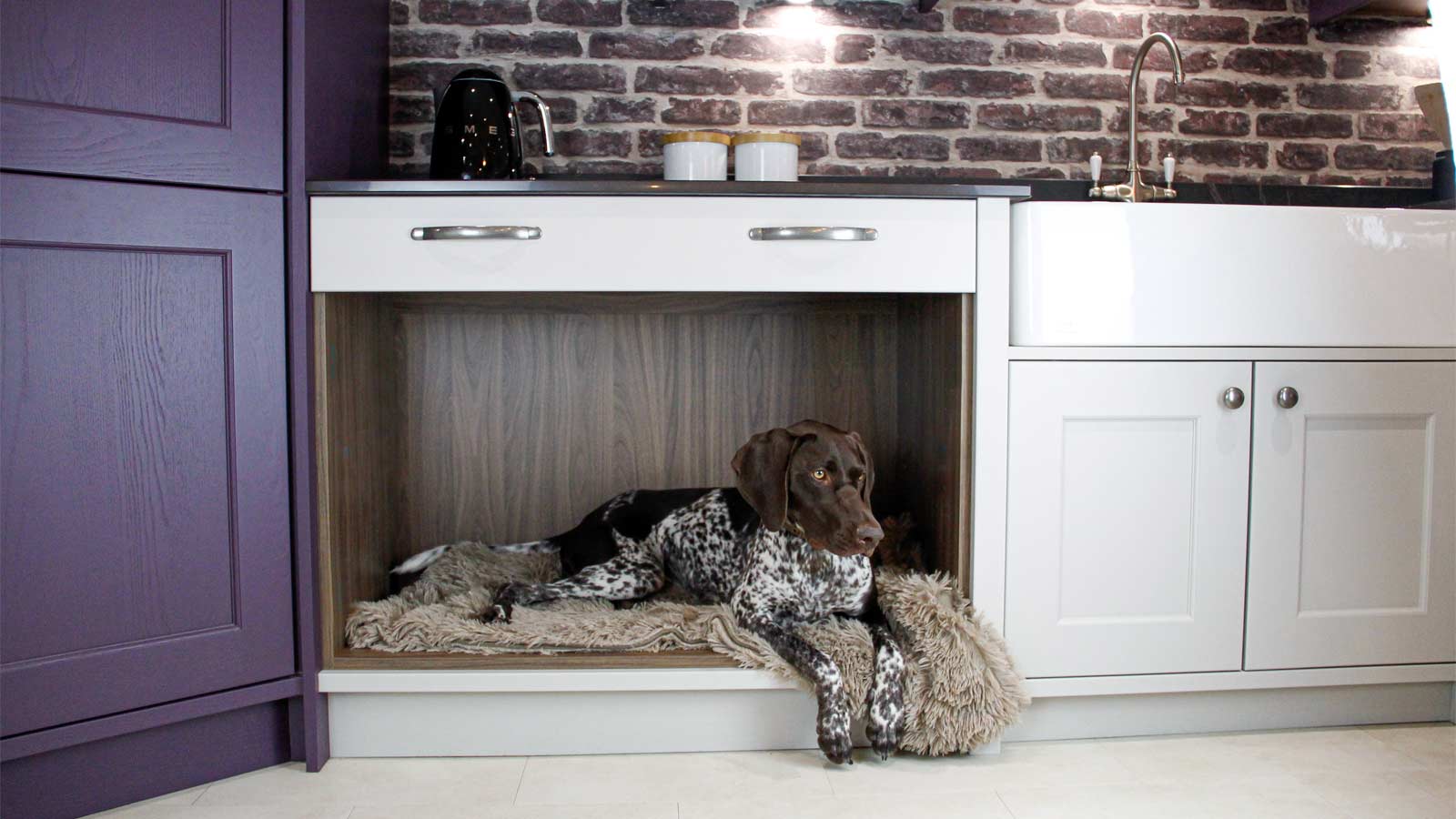 A kitchen corner with a biophilic design style, a corner pantry and a big dog