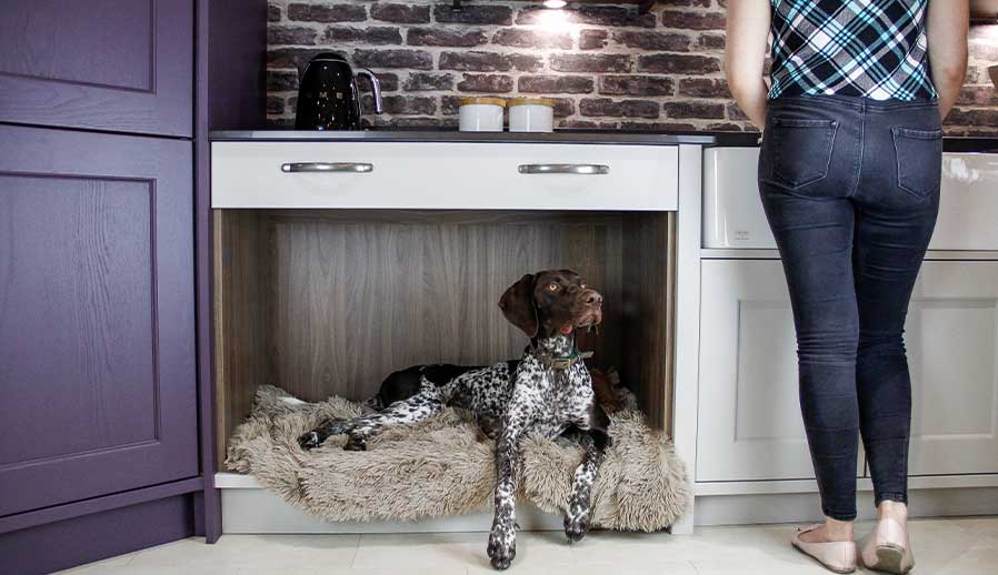 Shaker kitchen with nook for dog bed