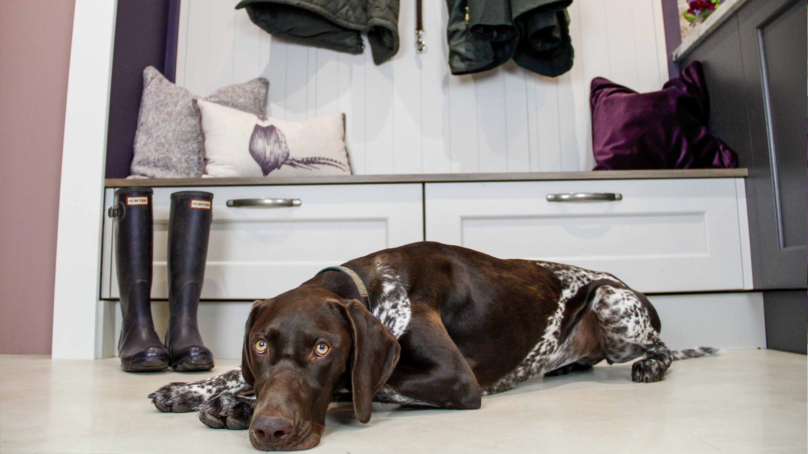 Boot room storage unit for high-end kitchen and laundry room owners alongside a dog