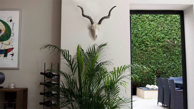 A Japandi-style room featuring feng shui plants and Japanese philosophy