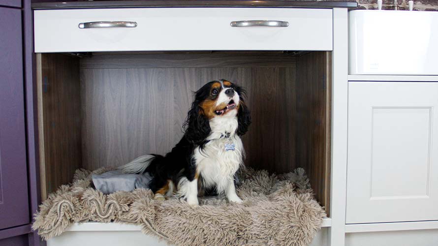 Dog bed area in a utility room